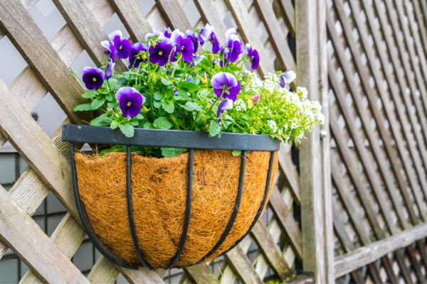 best coir fiber liners for hanging baskets