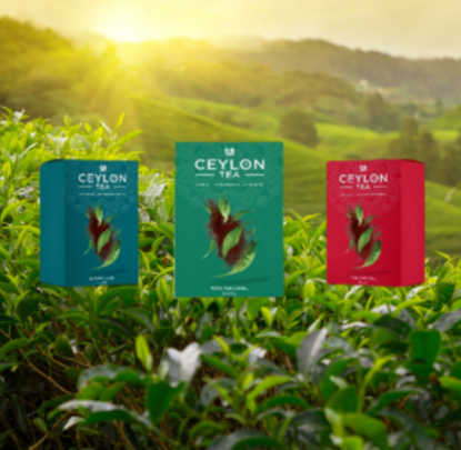 Ceylon tea