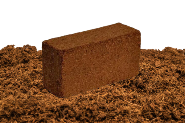 Peat briquettes