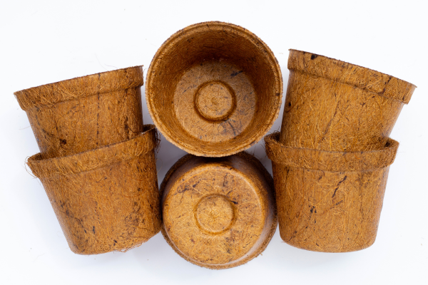 Eco-friendly coco pots for horticulture made from coir fiber - ideal for sustainable gardening and plant growt