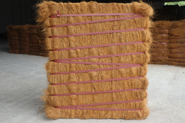 Close-up of natural coir fibre, showing its rough texture and light brown color