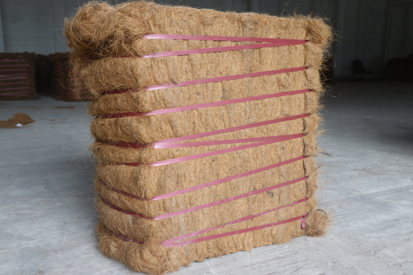 Natural brown coir fiber extracted from coconut husks, showcasing its coarse texture and versatility in eco-friendly products