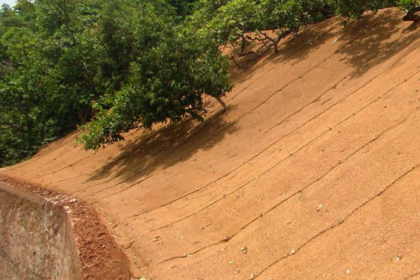 Close-up of coir fibre geotextile installed for water management and erosion prevention, highlighting its eco-friendly and high-performance features