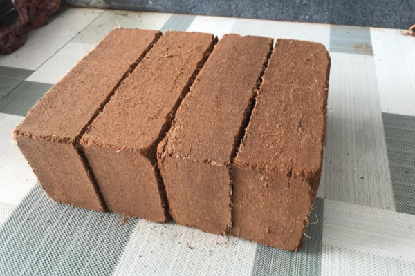 Coco peat grow bricks compressed into compact blocks, ideal for efficient soil conditioning and plant support with excellent moisture retention