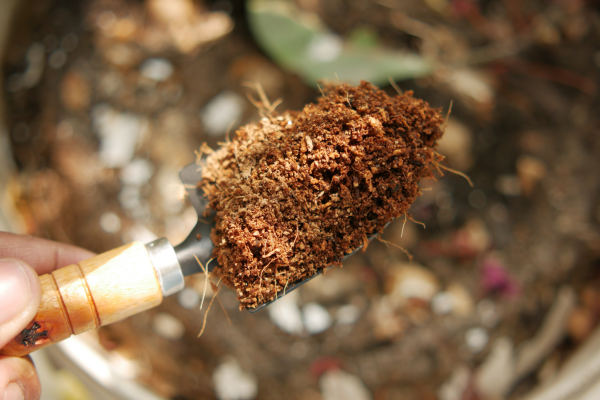 =Coconut coir products