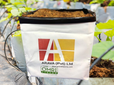 Open top coco peat grow bags with special mixes designed for blueberry cultivation, ensuring optimal moisture and nutrient balance for healthy fruit development