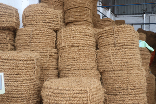 Twisted coir fibre strands, showcasing their strength and durability for use in ropes and mats